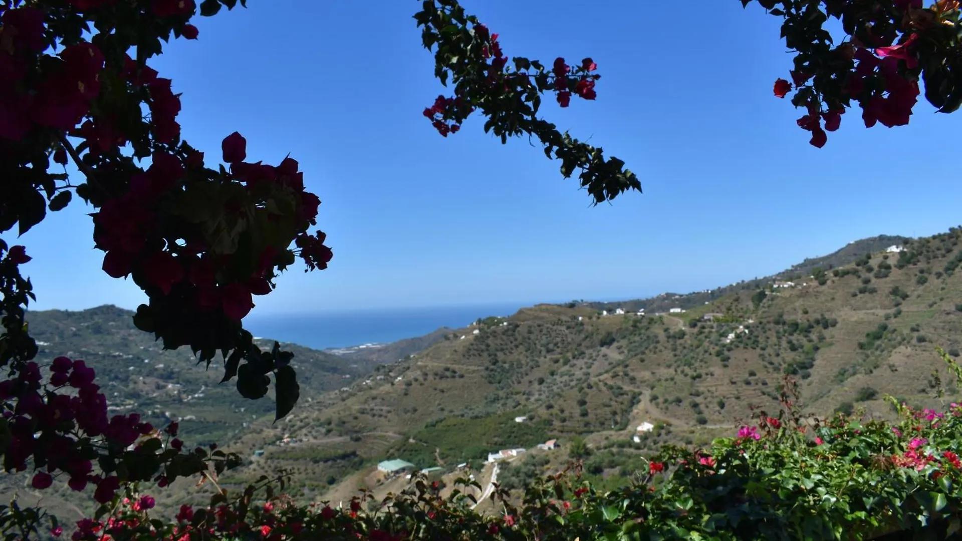 Finca Ortiz Mit Privatem Pool 康佩塔 西班牙