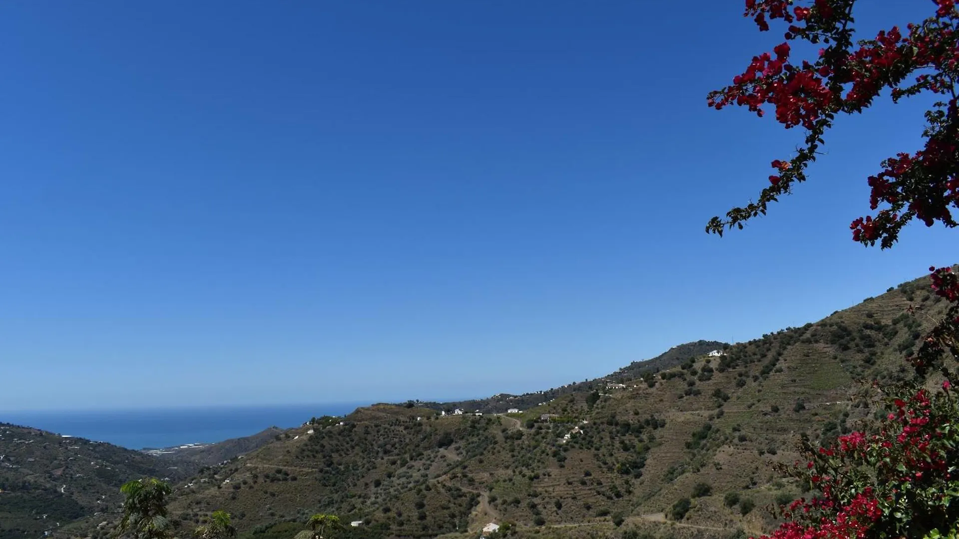 Finca Ortiz Mit Privatem Pool 康佩塔 度假居